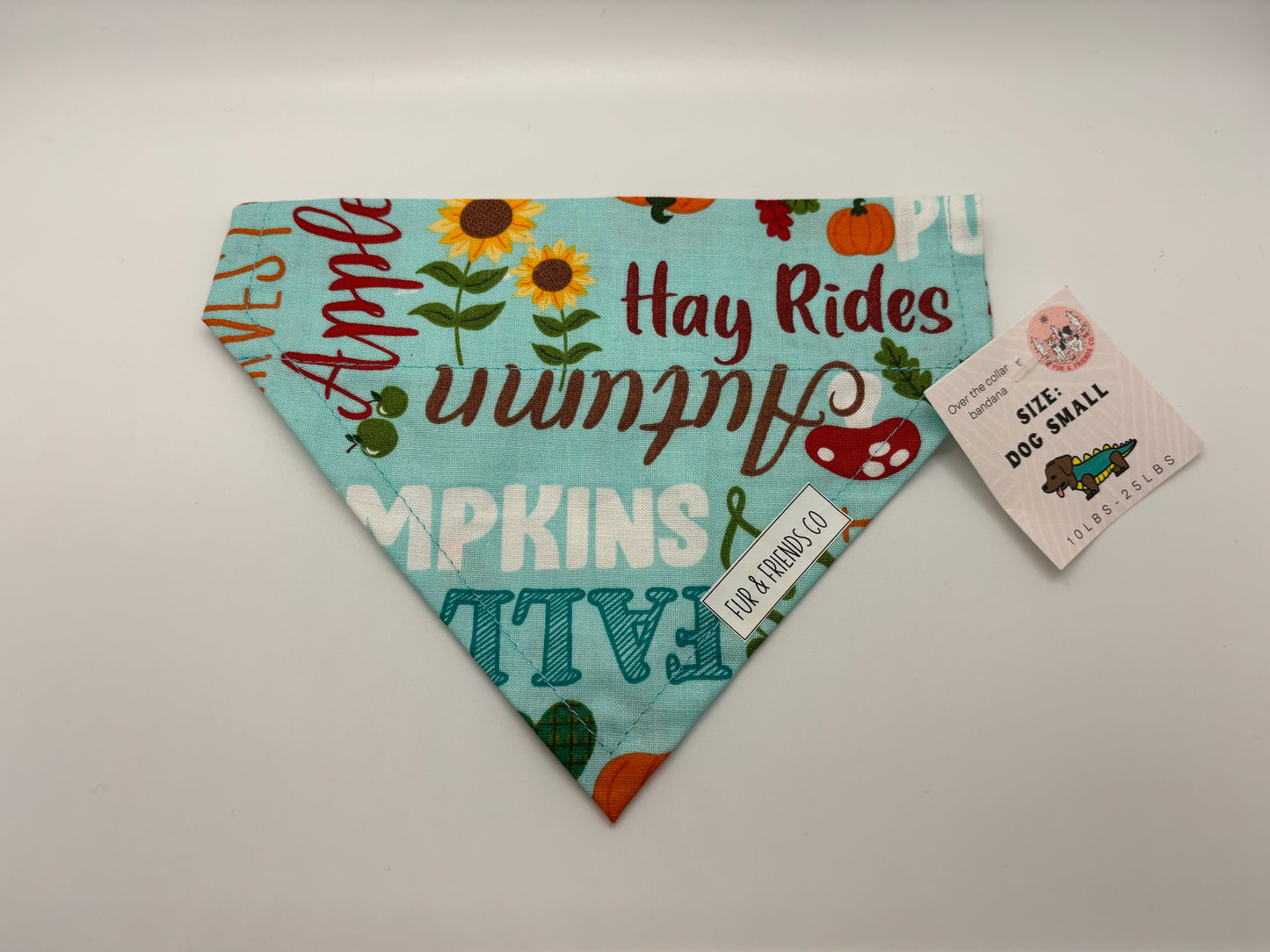 Small Autumn Bandana