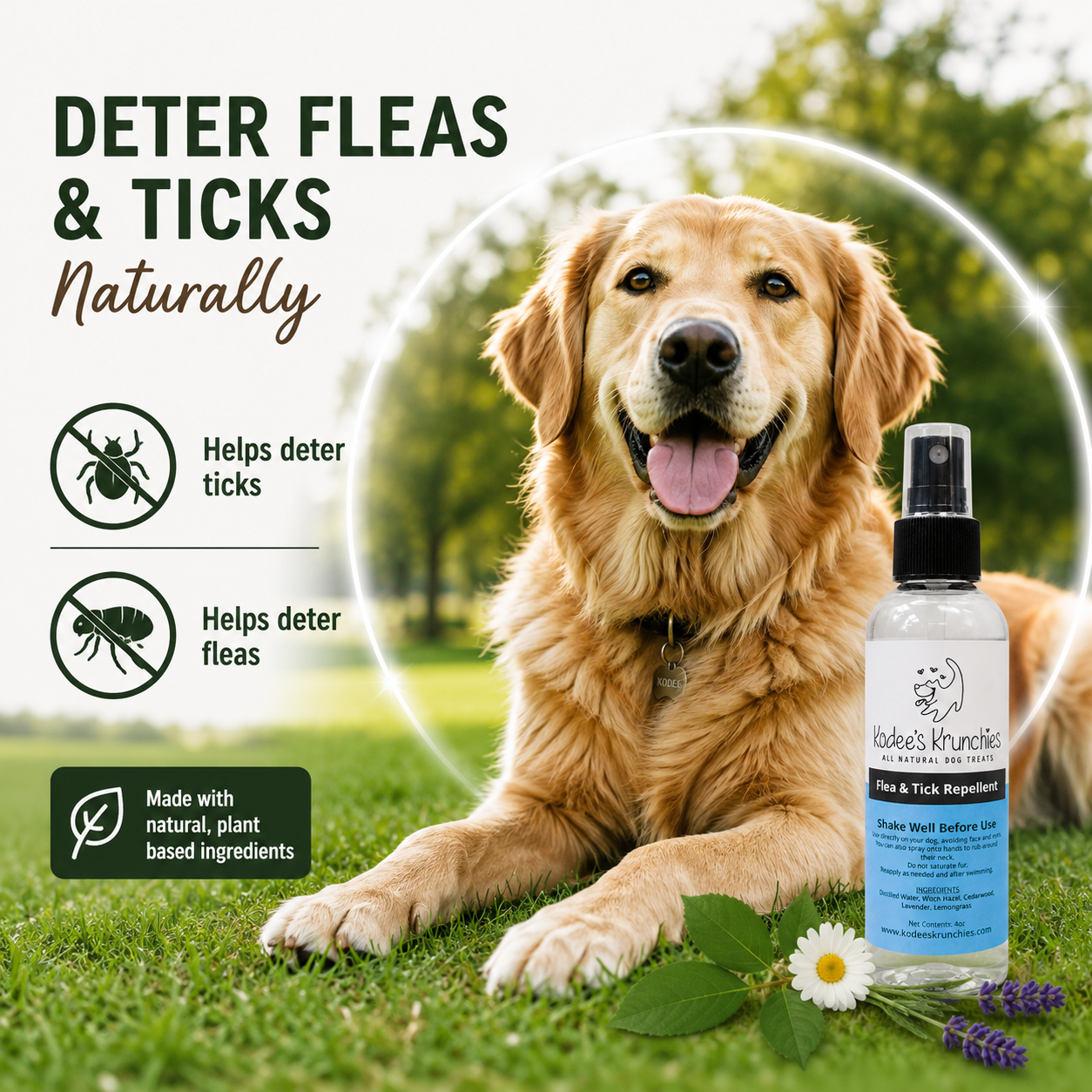 Flea & Tick Repellent