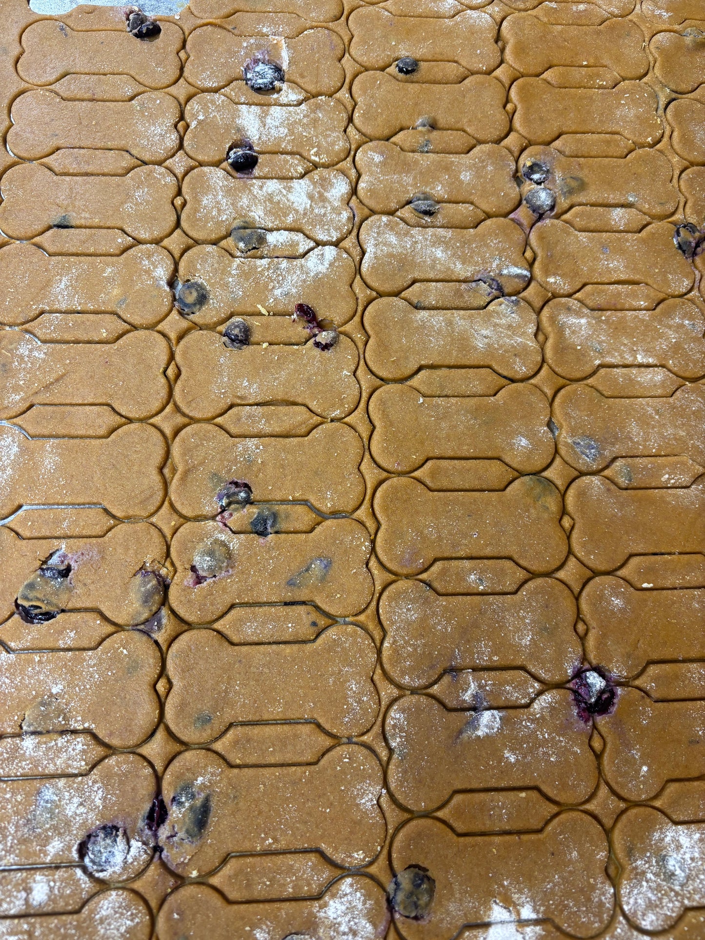 Blueberry Dog Treats - 5oz
